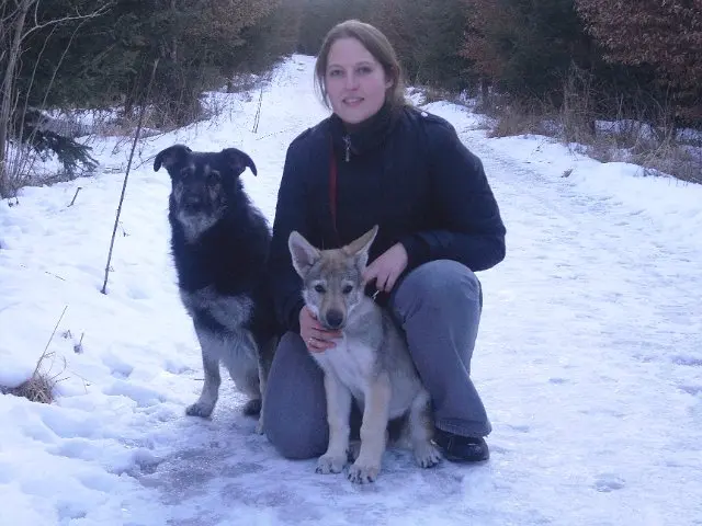 Referenzbild der Hundeschule Häfele