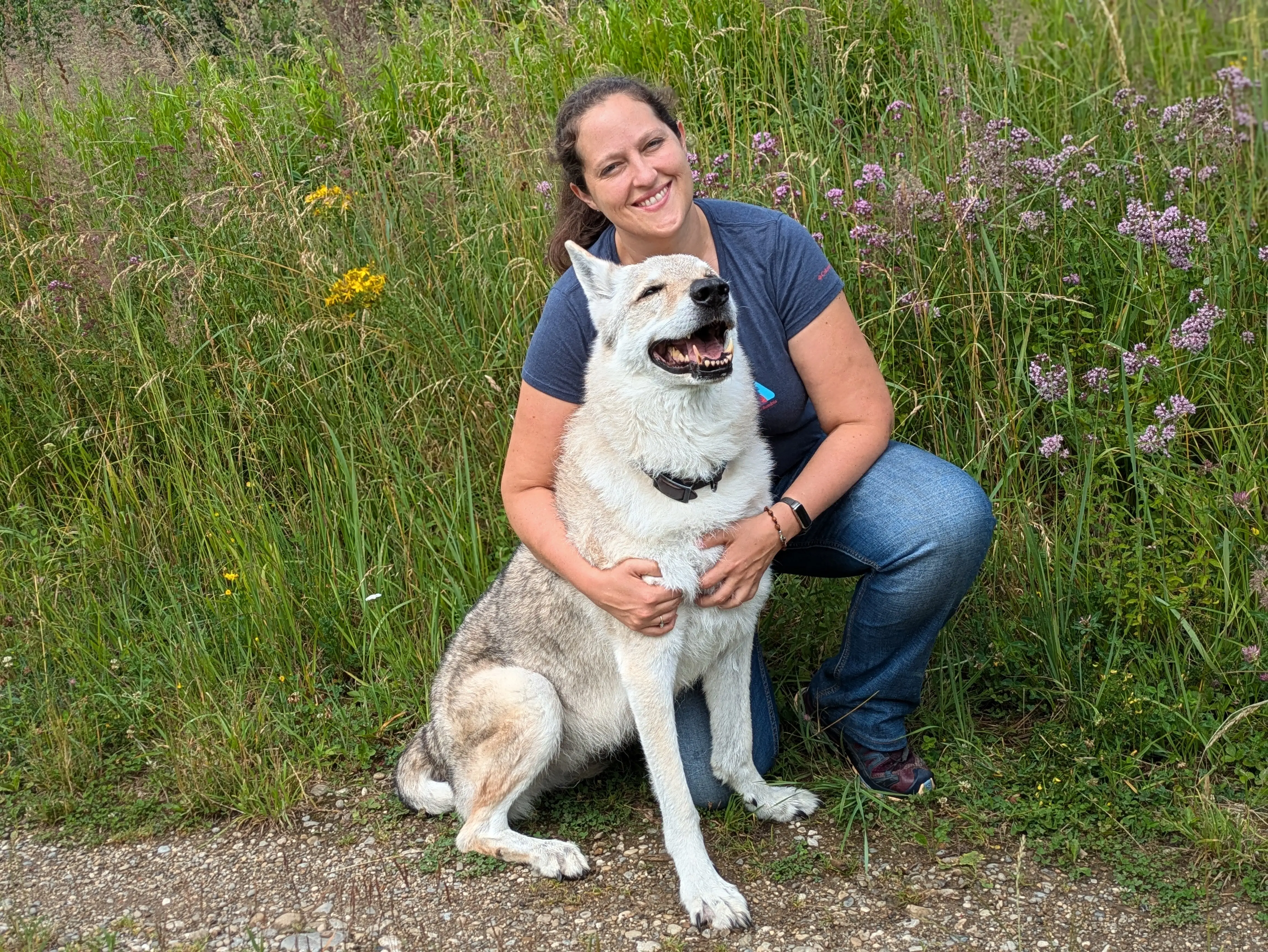 Referenzbild der Hundeschule Häfele