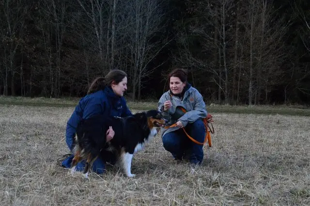 Referenzbild der Hundeschule Häfele