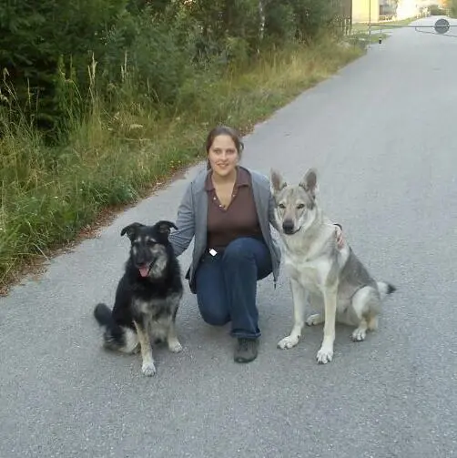 Referenzbild der Hundeschule Häfele