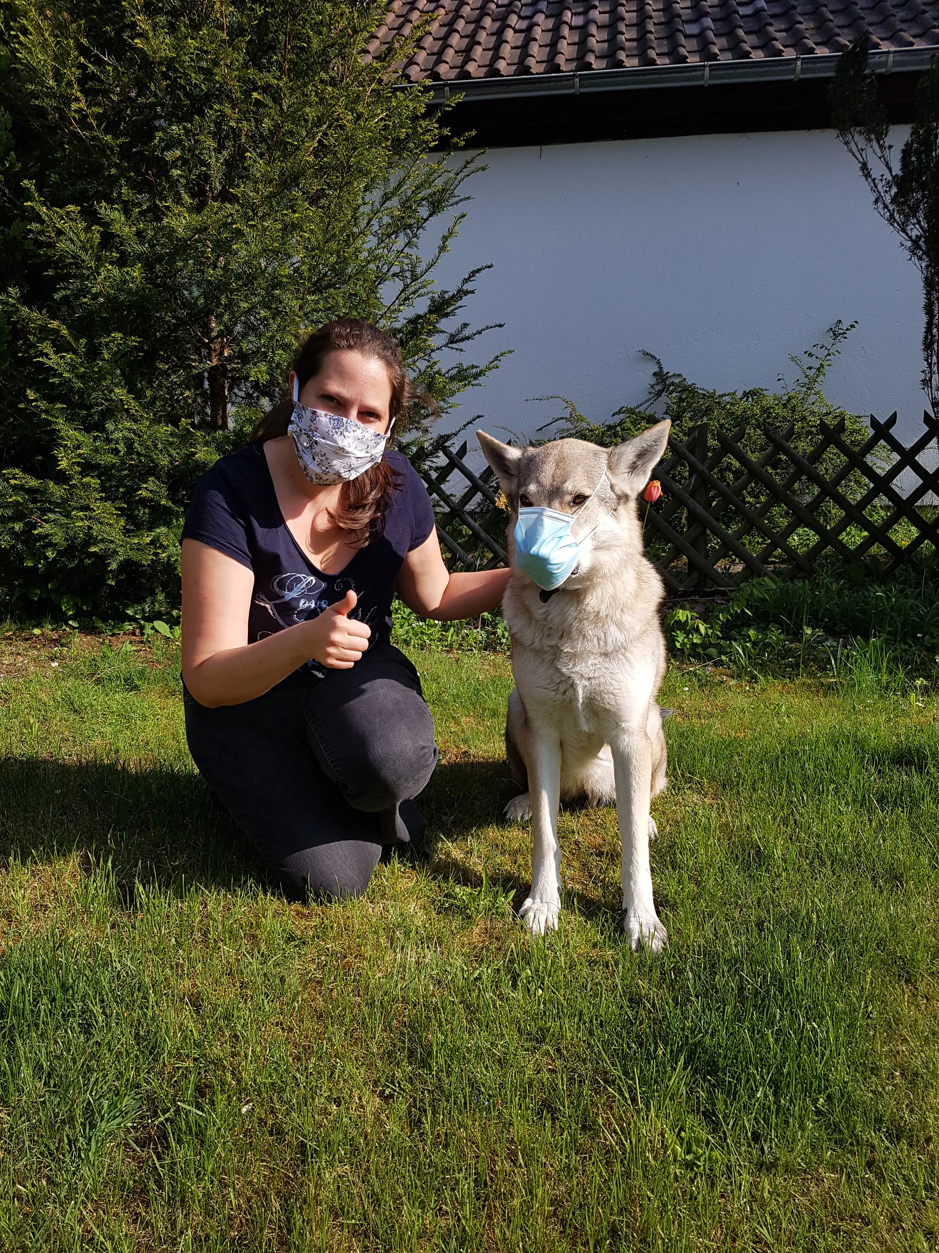 Referenzbild der Hundeschule Häfele