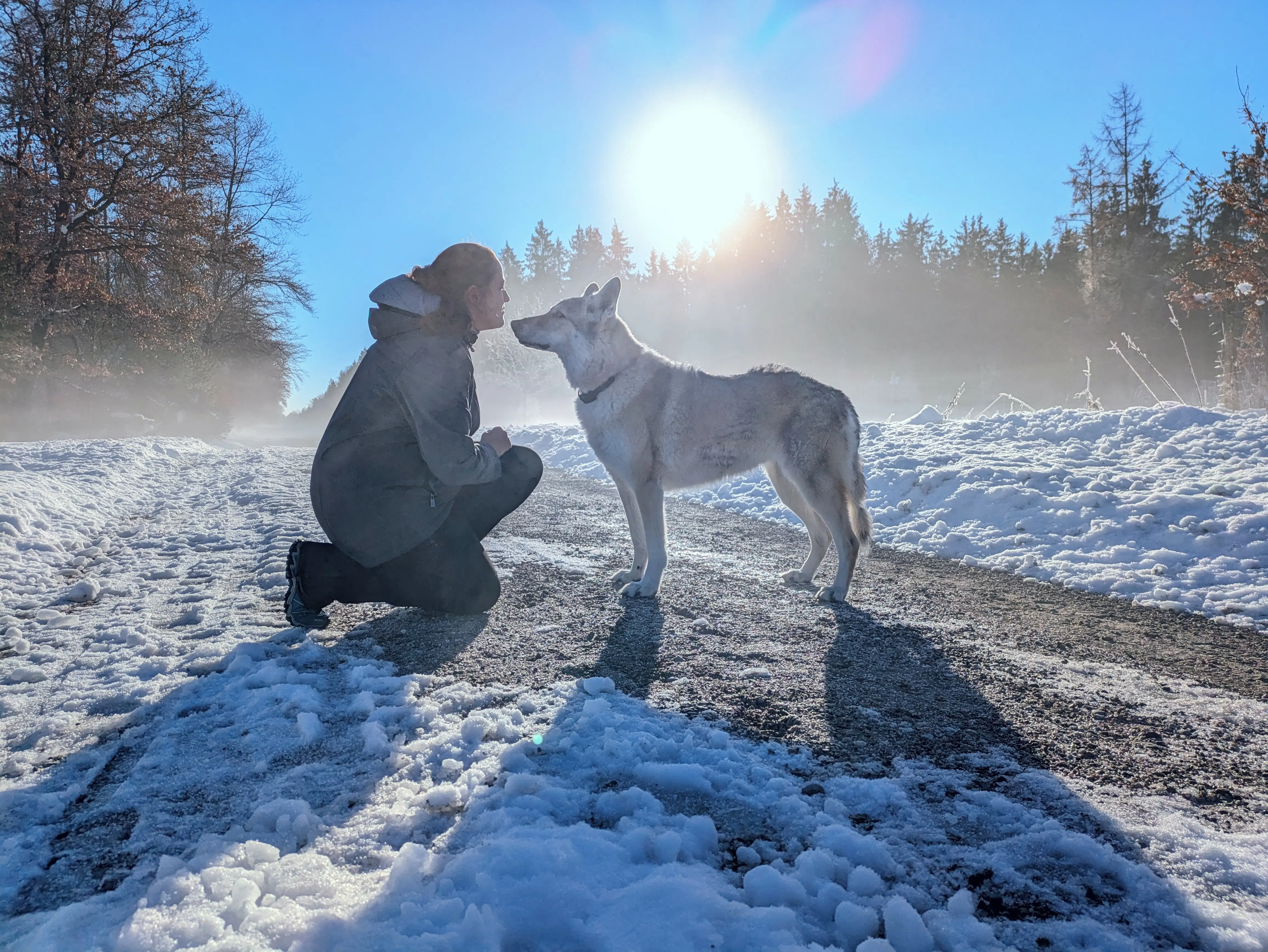 Referenzbild der Hundeschule Häfele